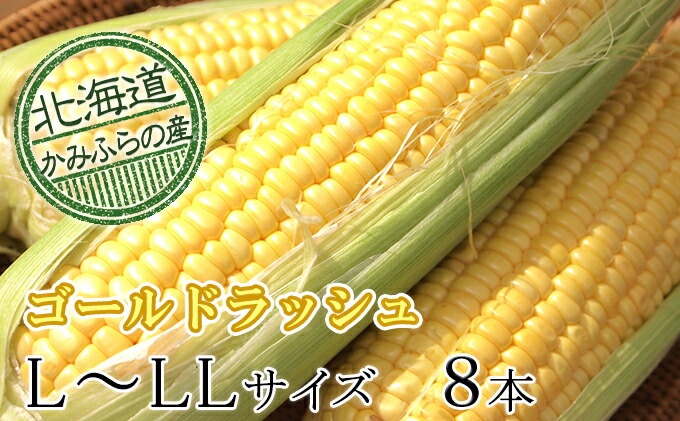 ふるさと納税 朝旦採り唐きび ゴールド突進 L Ll 10土台一揃え 北海道上富良野ビレッジプロダクション ベジタブル とうもろこし 朝採りとうもろこし ゴールドラッシュ トウキビ お届け 21馬齢8暦月中旬 9月中旬まで Vned Org