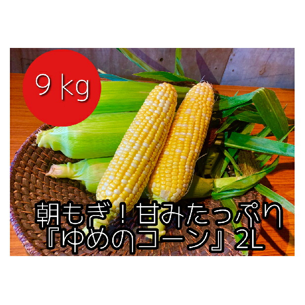 ふるさと納税 農婦直送 朝もぎ甘甘唐黍 ゆめのコーン 2l 9kg 蔬菜 野菜後景 野菜 セット 詰合せ 野菜 ミニトマト お届け 21年齢8お月さま21日 21年9月10日 Cannes Encheres Com ふるさと納税 農婦直送 朝もぎ甘甘唐黍 ゆめのコーン 2l 9kg 蔬菜 野菜後景 野菜 セット 詰合せ 野菜 ミニトマト お届け 21年齢8お月さま21日 21年9月10日 Cannes Encheres Com