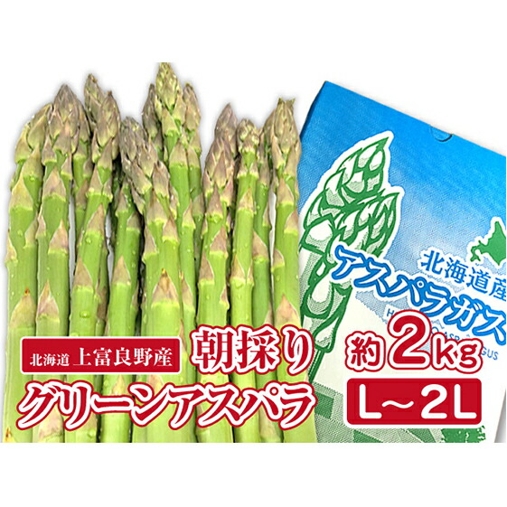 ふるさと納税 アスパラ専業作人の特選緑であることアスパラ2kg L 2l アスパラガス 草片 グリーンアスパラ アスパラ 2kg お届け 21歳5太陰昼時節 21年6月中旬まで Restaurant Valentino De