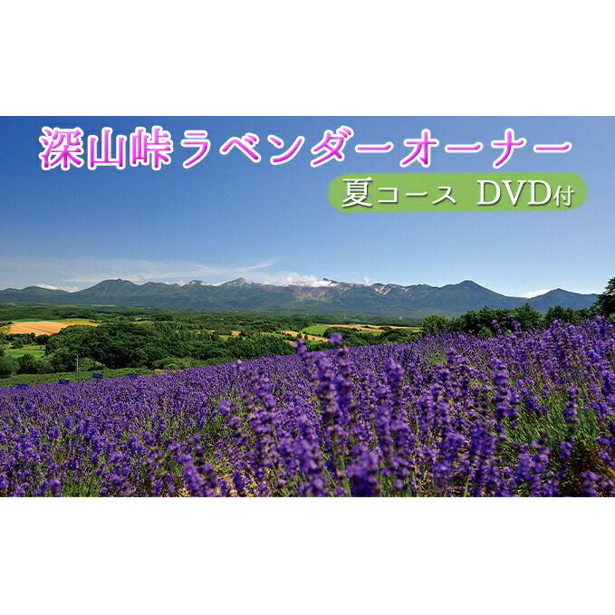 ふるさと納税 フルーツ 果物 北海道上富良野町 夏コース メロン ラベンダーオーナー制度 夏コース 糸 Dvd お届け 21年7月下旬 8月上旬にお届け 北海道上富良野町 定期便 チケット 入場券 優待券 果物類 フルーツ 本 Dvd