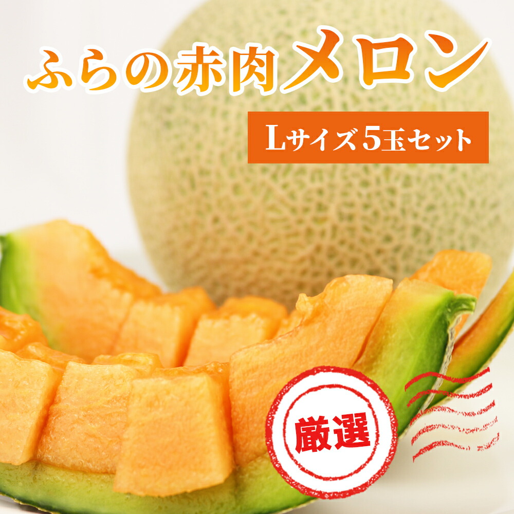 【ふるさと納税】【 2025年発送 先行予約 】ふらの 赤肉メロン 厳選 甘味 Lサイズ 1.6kg～1.9kg 5玉 セット ファーム富良野 メロン めろん 富良野メロン 果物 くだもの フルーツ 富良野 デザート 北海道 北海道上富良野町 　お届け：2025年6月27日～9月20日まで