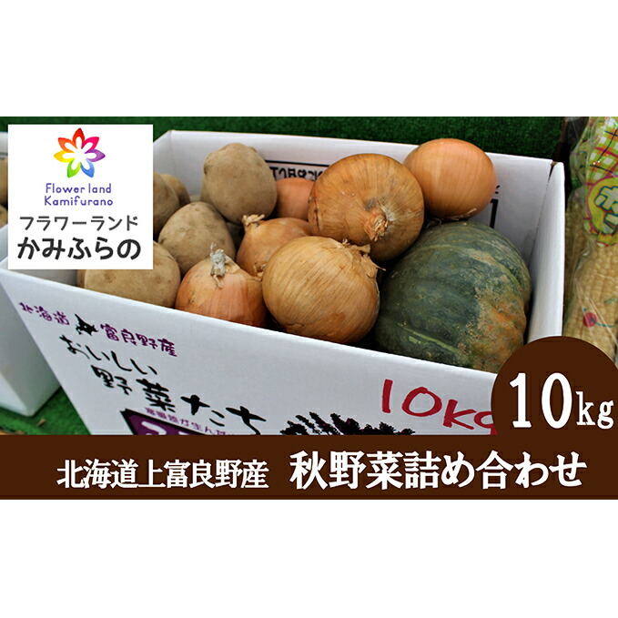 【ふるさと納税】【北海道上富良野町産】秋野菜詰め合わせ10kg 玉ねぎ たまねぎ じゃがいも 玉葱 かぼちゃ 野菜詰合せ 　お届け：2025年10月中旬～11月下旬