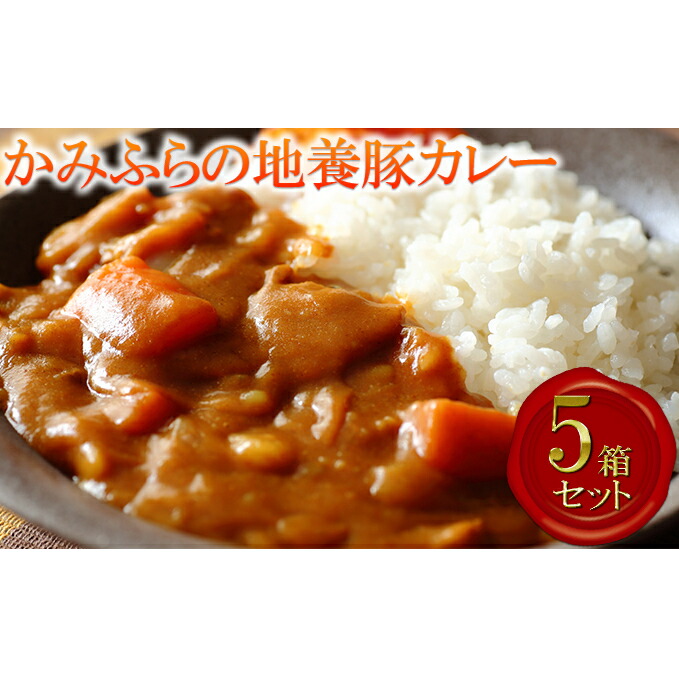 【ふるさと納税】かみふらの地養豚カレー5箱セット 加工食品 惣菜 レトルト お肉 豚肉