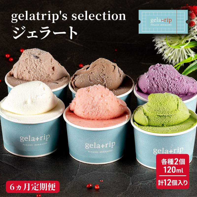 【ふるさと納税】≪6ヶ月定期便≫gelatrip's selection ジェラート12個BOX お菓子 アイス 冷凍 6カ月 6回 半年