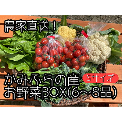 【ふるさと納税】【2025年8月上旬頃から発送】農家直送！ミニトマト500g入り！朝採れ野菜詰め合わせボックスS（6～8品入り） セット 詰合せ JGAP認証農場 野菜ソムリエ 特別栽培農作物 旬の野菜 　お届け：2025年8月1日～2025年9月15日