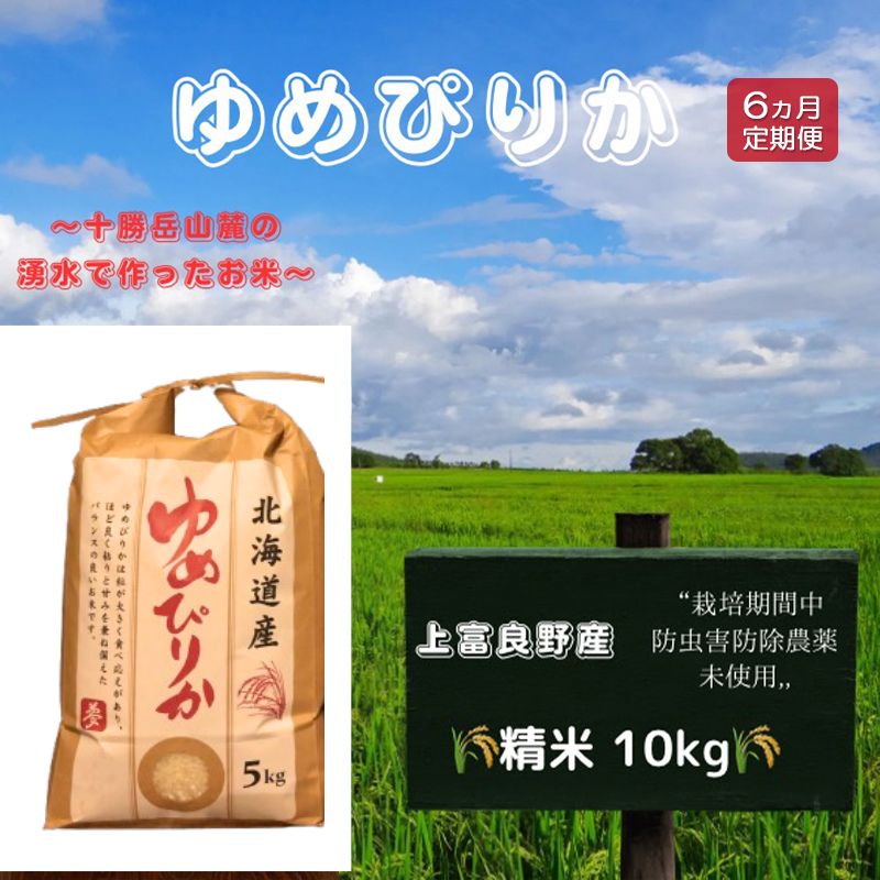 ふるさと納税 北海道 上富良野町 ゆめぴりか 精米 10kg ／北海道 上富良野産 〜It's Our Rice〜 ふるさと納税北海道 上富良野産「 ゆめぴりか 」特別