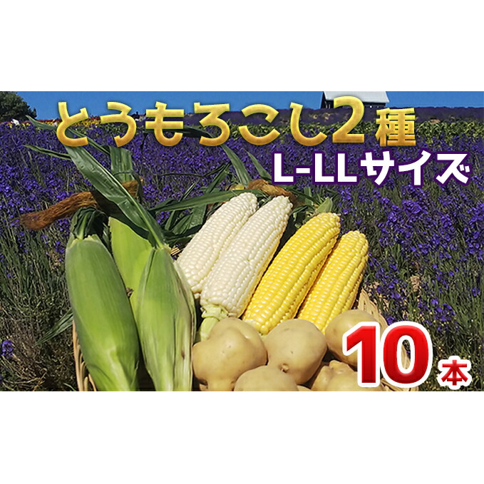 【ふるさと納税】【 2025年 発送 】先行予約 かんのファーム 産 とうもろこし 食べ比べ 10本 セット( じゃがいも 付 ) 北海道 上富良野町 とうもろこし トウモロコシ セット じゃがいも ジャガイモ 先行受付 雪の妖精 ゴールドラッシュ 　お届け：2025年7月下旬～9月下旬