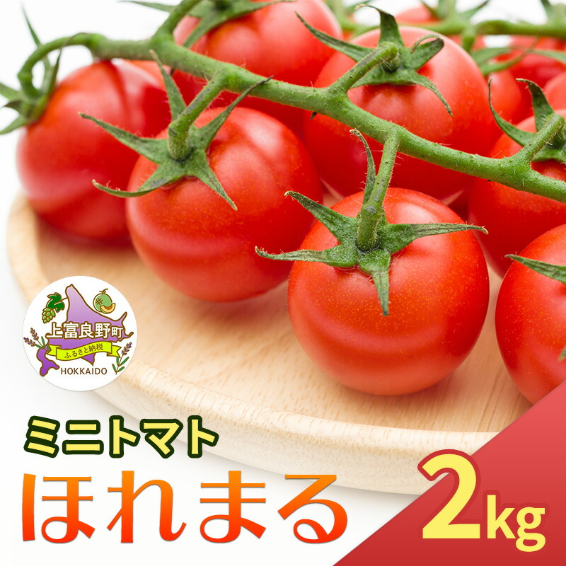 【ふるさと納税】【令和8年産】 もぎたてミニトマト【ほれまる】2kg≪北海道上富良野産≫ 野菜 鮮やかな 赤色 果肉 酸味 甘み バランス 食べやすい 日持ち 冷蔵庫 保存 1週間 　お届け：2026年7月上旬～9月中旬まで｜北海道上富良野町