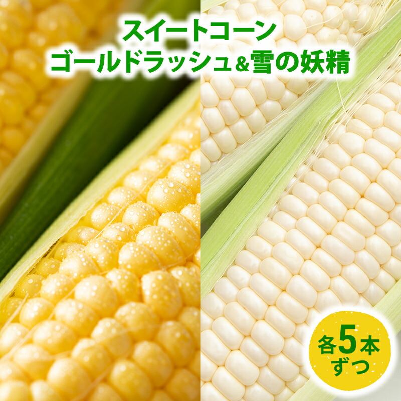 【ふるさと納税】スイートコーン「ゴールドラッシュ5本 & 雪の妖精5本」 野菜 旬の野菜 北海道産 北海道野菜 国産 国産野菜 グルメ 食材 とうもろこし 　お届け：2025年8月1日～8月30日まで