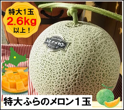 【ふるさと納税】【2026年発送】【ポプラファーム】富良野メロン特大1玉（計2.6kg以上　秀品）｜北海道中富良野町 12,960円