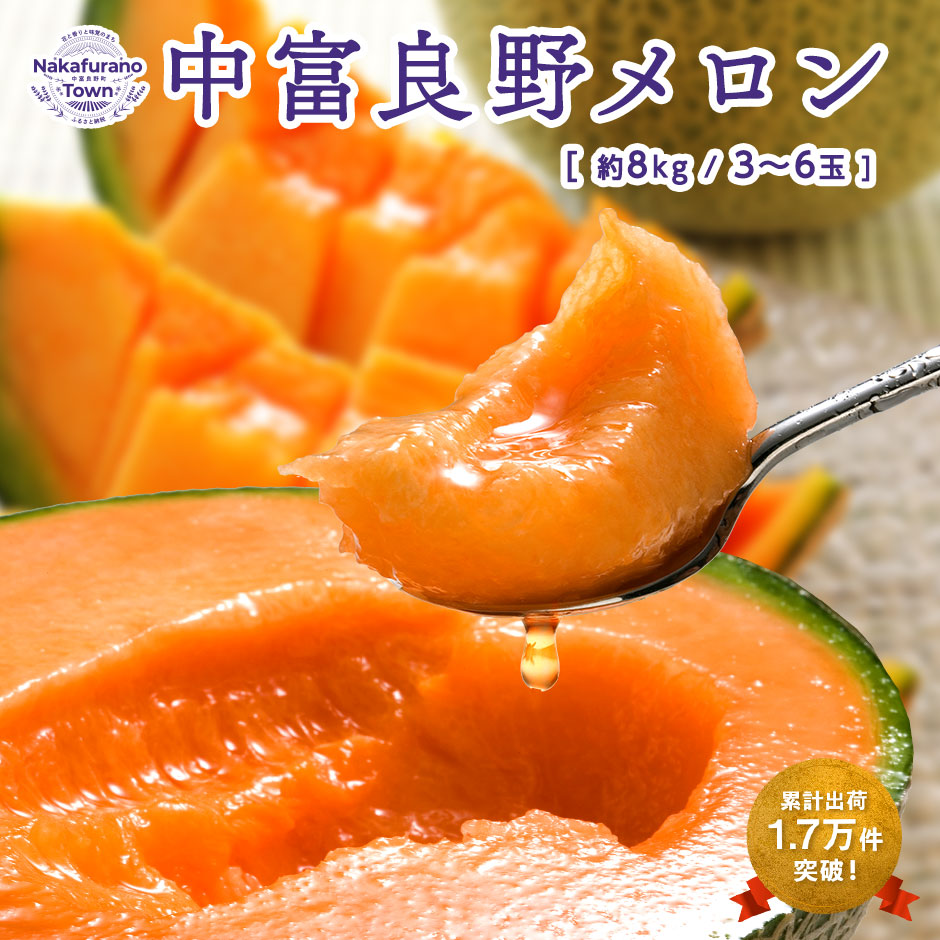 【ふるさと納税】【2025年発送】【鈴和産】遠藤ファームの中富良野メロン8kg（3～6玉）