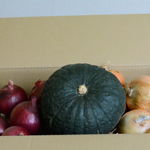 【ふるさと納税】【セット】秋野菜セット（玉ねぎ8kg、紫玉ねぎ2kg、かぼちゃ1玉）