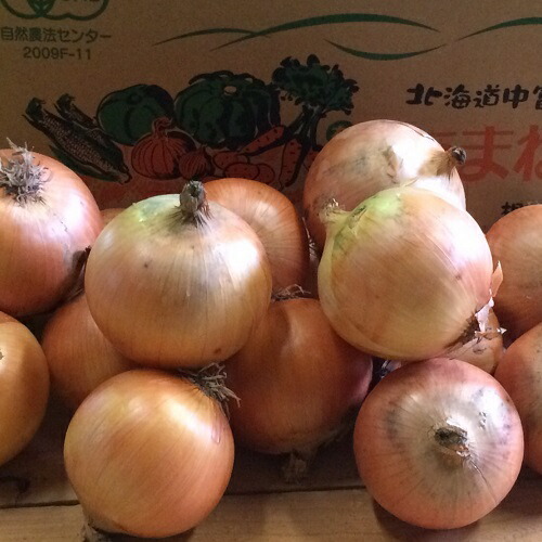 【ふるさと納税】有機玉ねぎ 10kg|北海道中富良野町