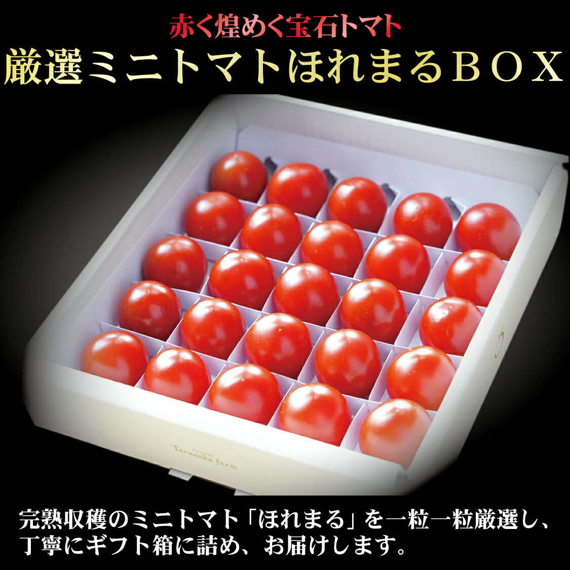 【ふるさと納税】【2025年発送】【中富良野町】厳選ミニトマトほれまるBOX