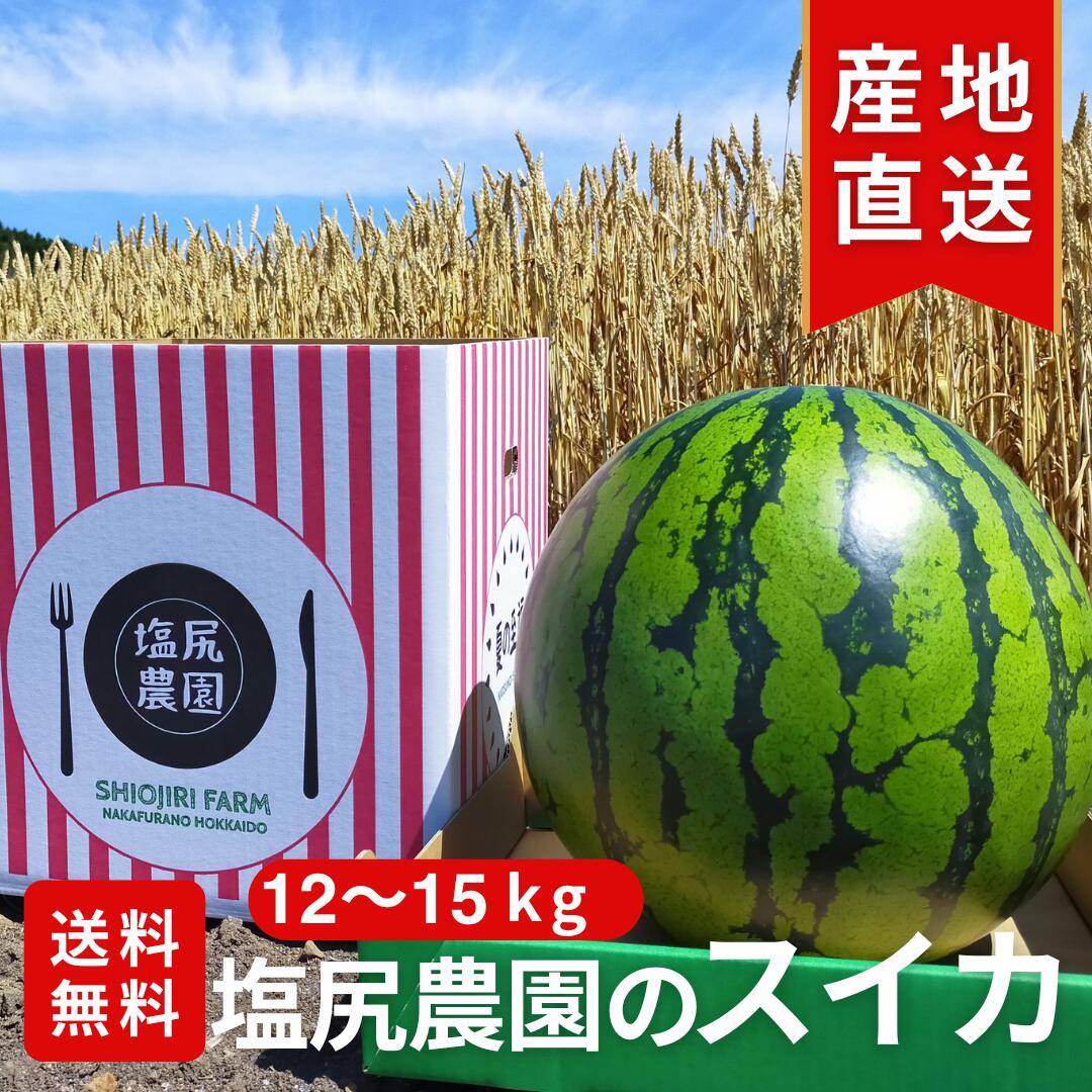 【ふるさと納税】夏の至福スイカ　特L（12~15kg）