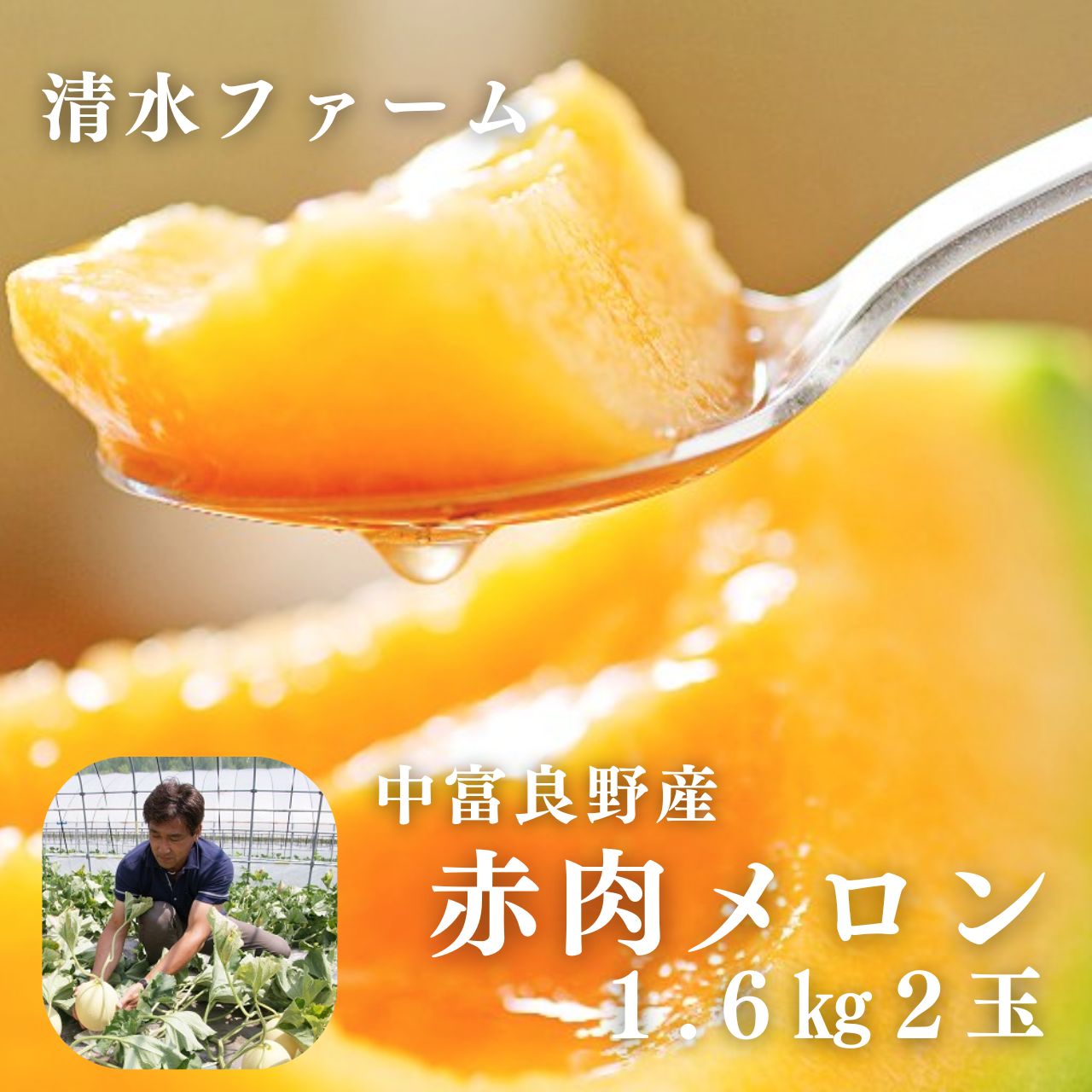【ふるさと納税】【2026年発送】中富良野産赤肉メロン2玉 計3.2kg|北海道中富良野町