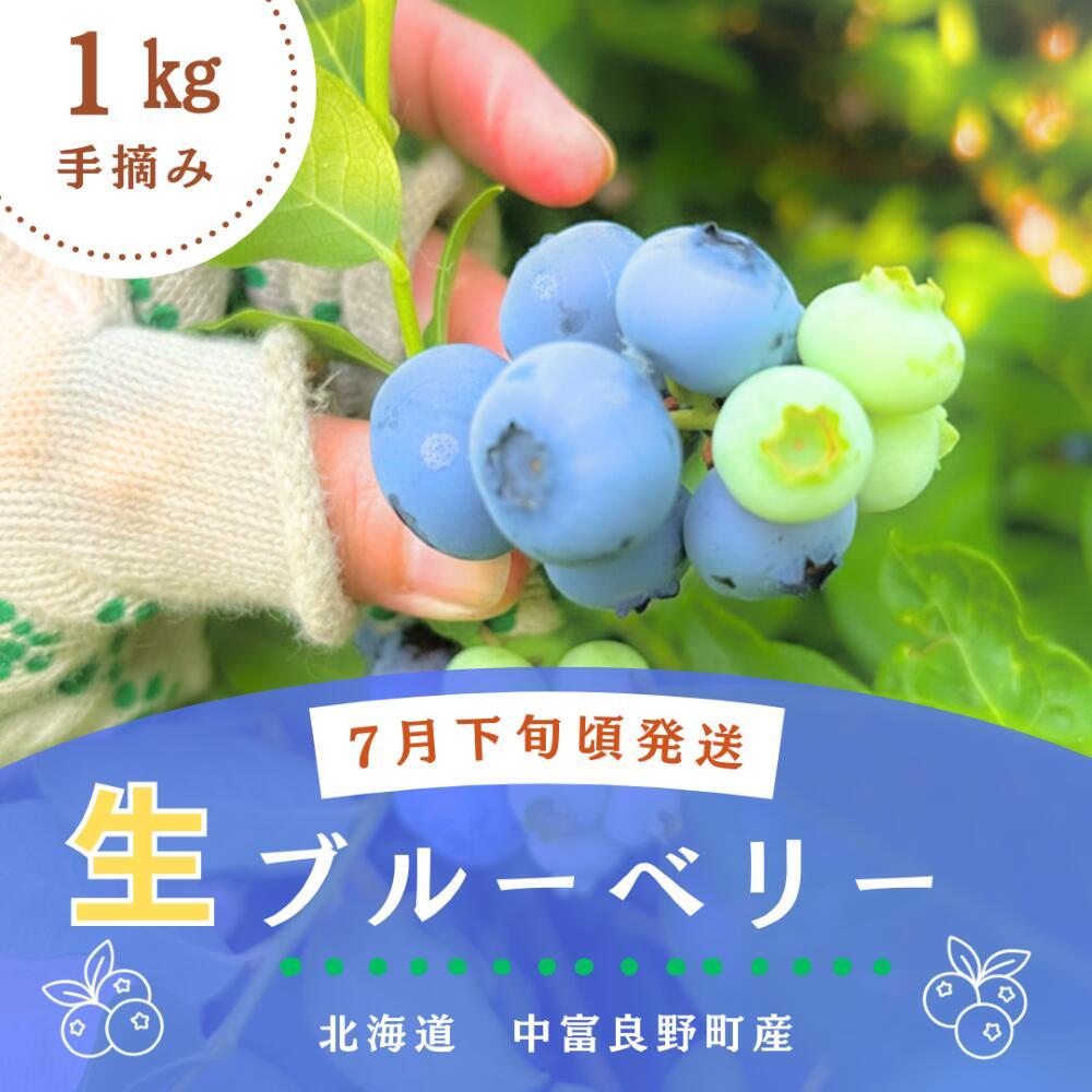 【ふるさと納税】横山農園の生ブルーベリー1kg