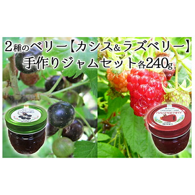 楽天市場 ふるさと納税 2種のベリー カシス ラズベリー 手作りジャムセット各240g 果物 果実 セット ジャム カシス ラズベリー 手作り フルーツ 北海道南富良野町