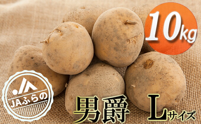 楽天市場 ふるさと納税 ふらの産じゃがいも 男爵 10kg 10kg ジャガイモ 野菜 詰め合わせ 芋 男爵 お届け 21年9月上旬 11月上旬 北海道南富良野町
