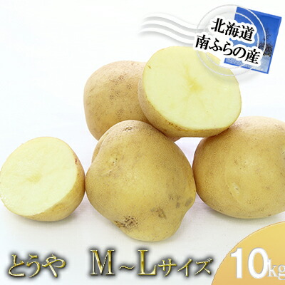 南ふらの産じゃがいもM〜Lサイズ10kg お届け