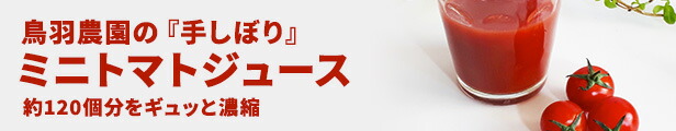 楽天市場】【ふるさと納税】ほくほくかぼちゃ（雪化粧）5切入×6袋 【野菜・根菜・かぼちゃ・南瓜・雪化粧・カボチャ】  お届け：2022年12月上旬より順次出荷 : 北海道南富良野町