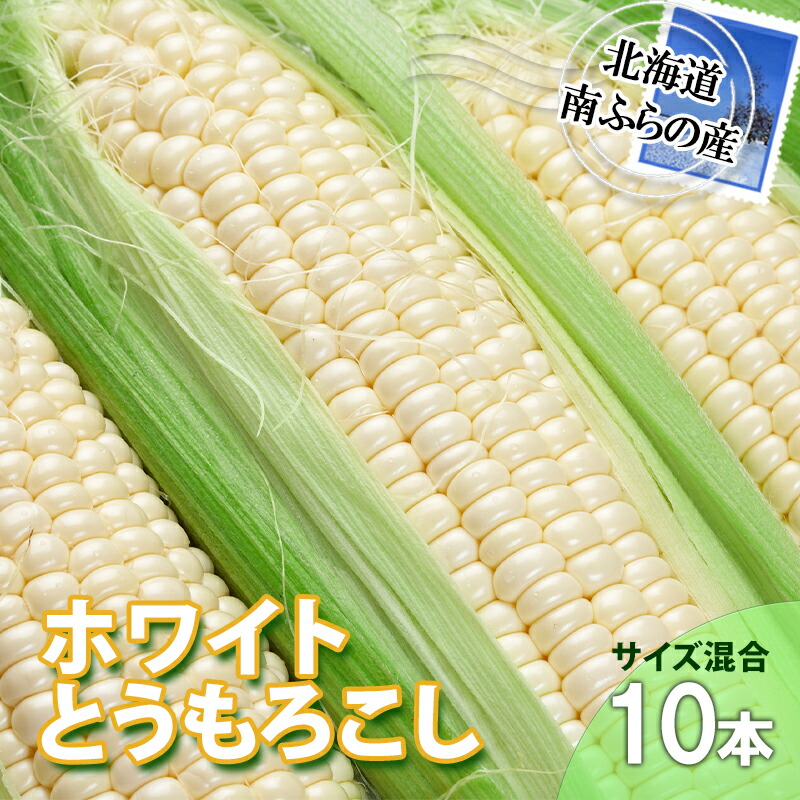 【ふるさと納税】とうもろこし 北海道 朝採り トウモロコシ ホワイト 10本 サイズ混合 南ふらの産 ホワイトコーン 産地直送 旬 野菜 旬の野菜 コーン とうきび トウキビ 夏野菜 夏 2025年発送 　お届け：2025年7月20日～8月31日まで