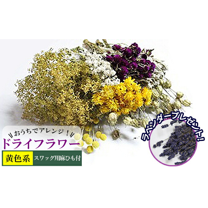 【ふるさと納税】＜おうちでアレンジ！＞ドライフラワー（黄色系）プレゼント付 北海道 南富良野町 ドライフラワー 花 お花 華 花束 ファッション小物 インテリア 贈り物