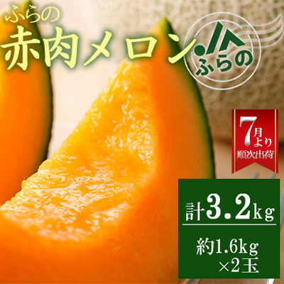 【ふるさと納税】2025年夏発送 JAふらの厳選！ふらの赤肉メロン 1.6kg×2玉  メロン めろん 富良野メロン 果物 くだもの フルーツ 富良野 デザート 北海道 贈り物 ギフト 果物類 メロン赤肉 　お届け：2025年7月中旬～9月下旬