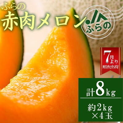 【ふるさと納税】2025年夏発送 メロン 北海道 ふらの 赤肉 メロン 2kg×4玉 JAふらの 厳選 産地直送 赤肉 富良野メロン フルーツ 果物 果実 旬 旬のくだもの デザート おやつ ギフト プレゼント 贈答 贈答用 贈答品 贈り物 富良野　お届け：2025年7月中旬～9月下旬
