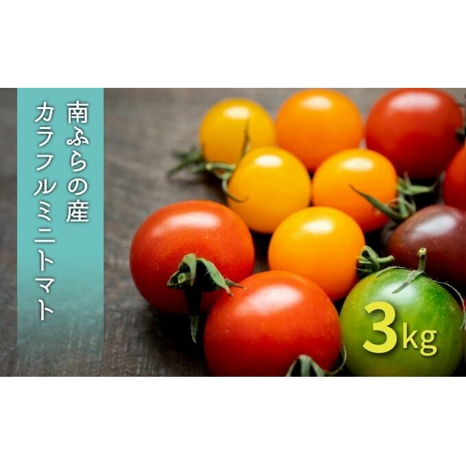 【ふるさと納税】カラフル ミニトマト セット 3kg ≪北海道南富良野産≫ 北海道 南富良野町 2025年発送 先行予約 トマト 詰合せ ミックス ミックストマト 野菜 　お届け：2025年8月15日～9月15日まで