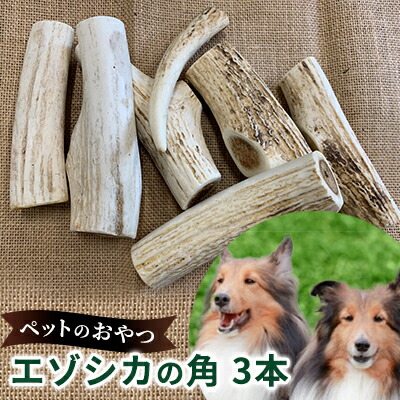 【ふるさと納税】愛玩動物のお兄ちゃん【エゾシカ角】3本仕掛ける 北海道 南富良野町 愛玩動物 お兄ちゃん 餌 エゾシカ 鹿 角 犬 大型犬 中型犬 小型犬 雑貨 日設備 愛玩動物設備