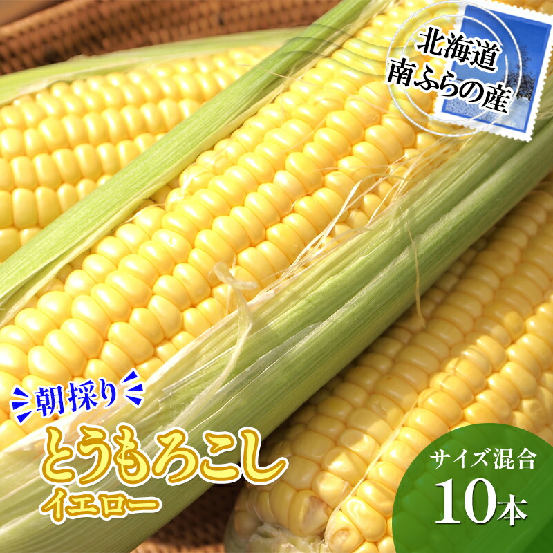 【ふるさと納税】南ふらの産 朝採り とうもろこし (イエロー)【サイズ混合】10本 北海道 南富良野町 トウモロコシ とうきび トウキビ 2025年発送 先行予約 野菜 12本 コーン 　お届け：2025年7月下旬～8月上旬