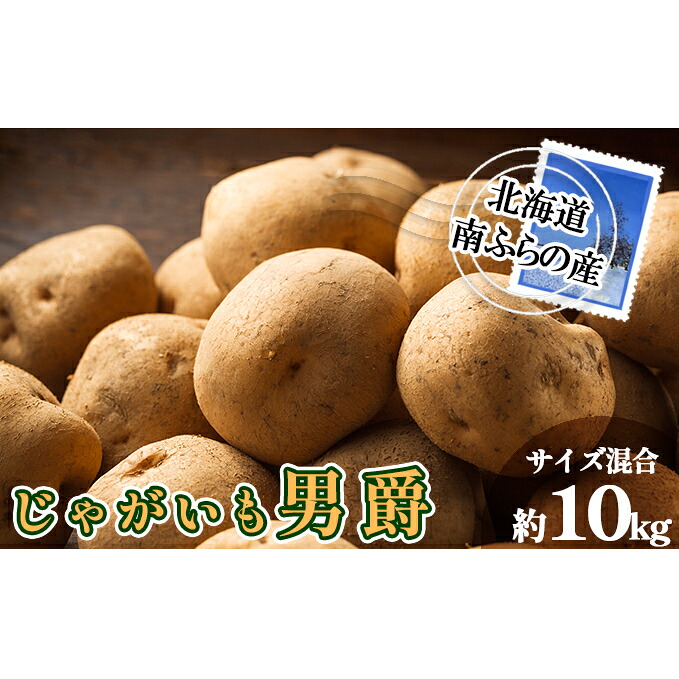 【ふるさと納税】南ふらの産 じゃがいも 男爵 約10kg【サイズ混合】 北海道 南富良野町 じゃがいも ジャガイモ 男爵 2025年発送 先行予約 ポテト 野菜 　お届け：2026年9月初旬～10月中旬｜北海道南富良野町
