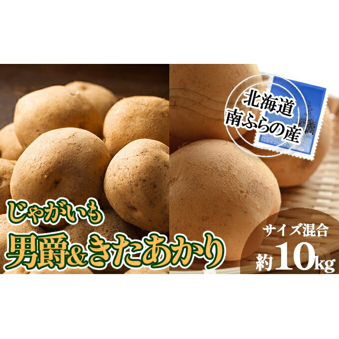 【ふるさと納税】南ふらの産 じゃがいも 男爵 & きたあかり 約10kg【サイズ混合】 北海道 南富良野町 じゃがいも ジャガイモ キタアカリ 北あかり 2025年発送 先行予約 ポテト 野菜 お届け:2026年9月初旬~10月中旬