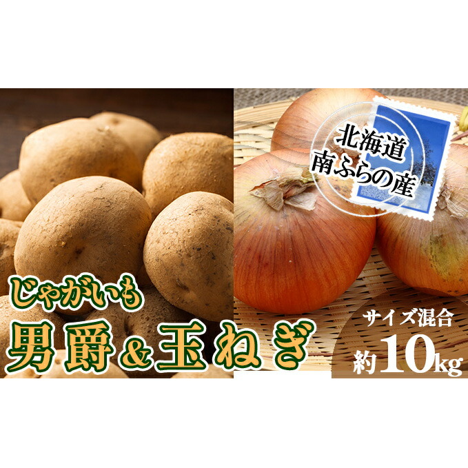 【ふるさと納税】南ふらの産 じゃがいも 男爵 ＆ 玉ねぎ 約10kg 【サイズ混合】2025年発送 先行予約 北海道 南富良野町  玉葱 玉ネギ 玉ねぎ ネギ ねぎ じゃがいも ジャガイモ 先行予約 　お届け：2025年9月初旬～10月中旬
