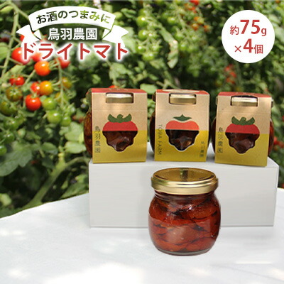 【ふるさと納税】【お酒のつまみに】鳥羽農園のドライトマト 75g×4個 北海道 南富良野町 トマト とまと ドライトマト 野菜 トマトジュース 加工食品 そのまま 美味しい クリームチーズ クラッカー おつまみ 自家製ドレッシング