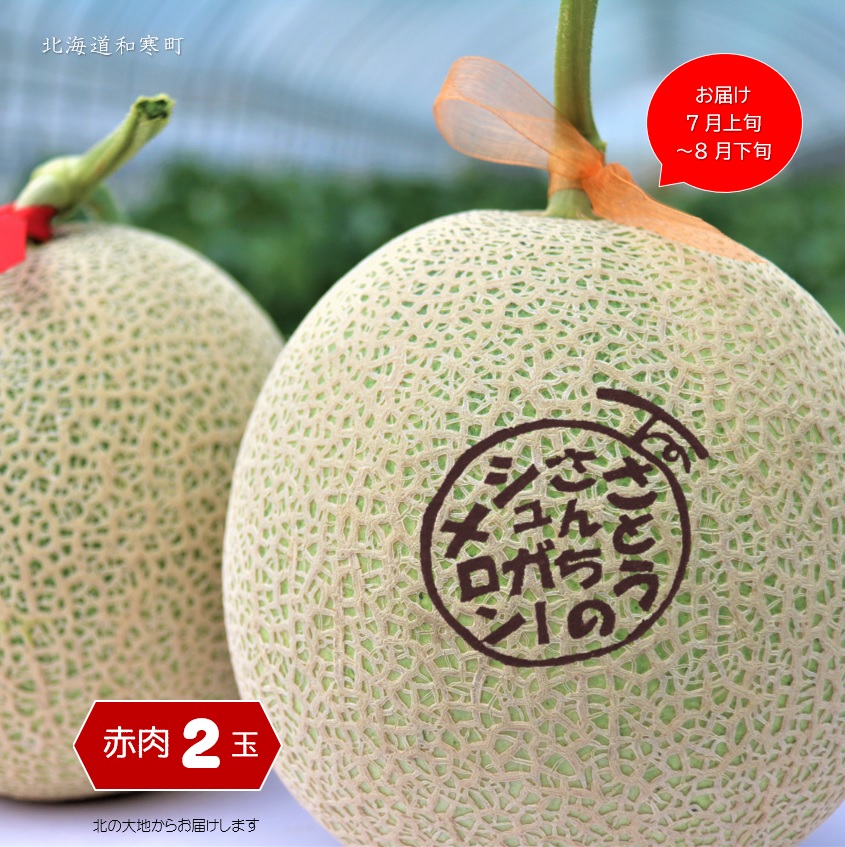 【ふるさと納税】≪令和7年産≫ <br>さとうさんちのシュガーメロン(赤肉2玉) <br>ふるさと納税 メロン 北海道 【7～8月お届け】