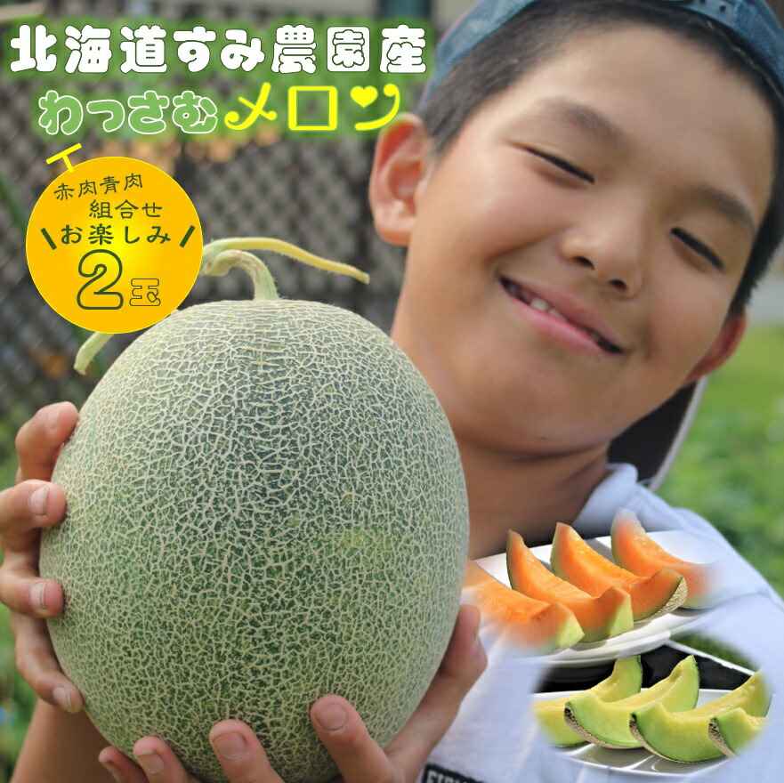 【ふるさと納税】≪令和７年産予約≫<br> わっさむ産メロン(お任せ2玉)<br> ふるさと納税 メロン 北海道 【7～8月お届け】