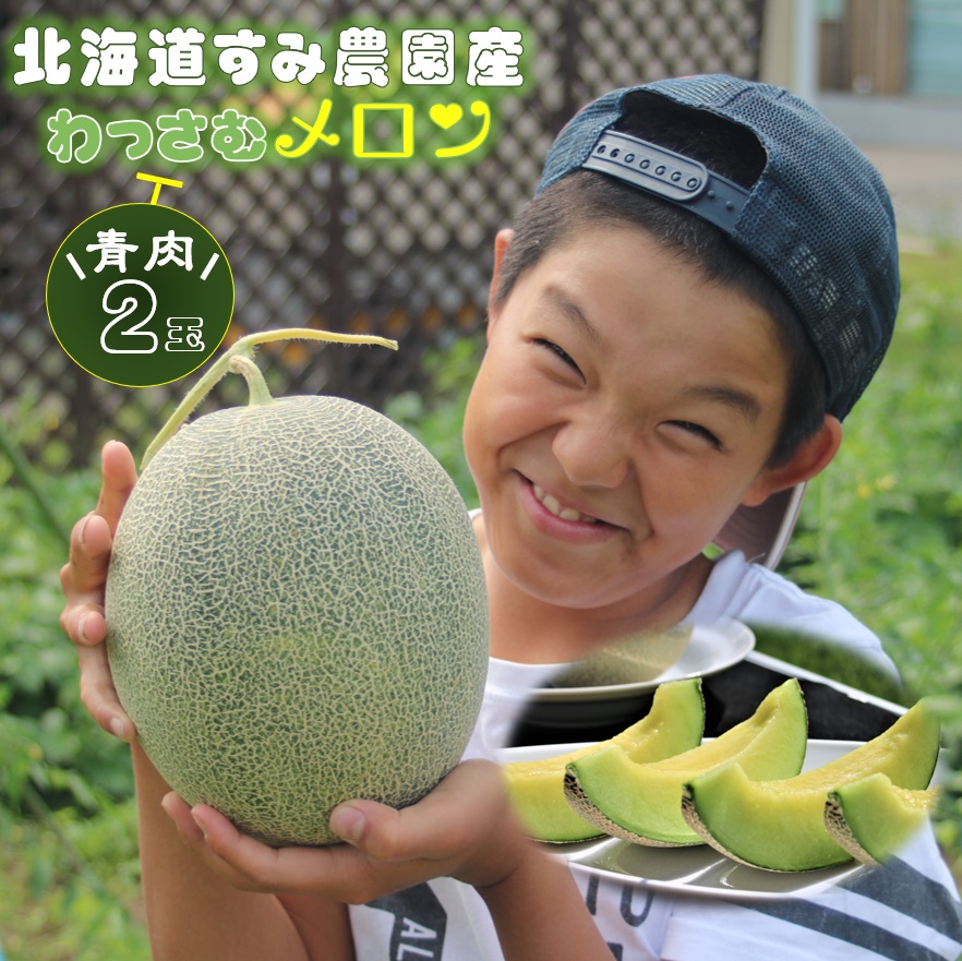 【ふるさと納税】≪令和８年産予約≫ わっさむ産メロン(青肉2玉) ふるさと納税 メロン 北海道 【7～8月お届け】