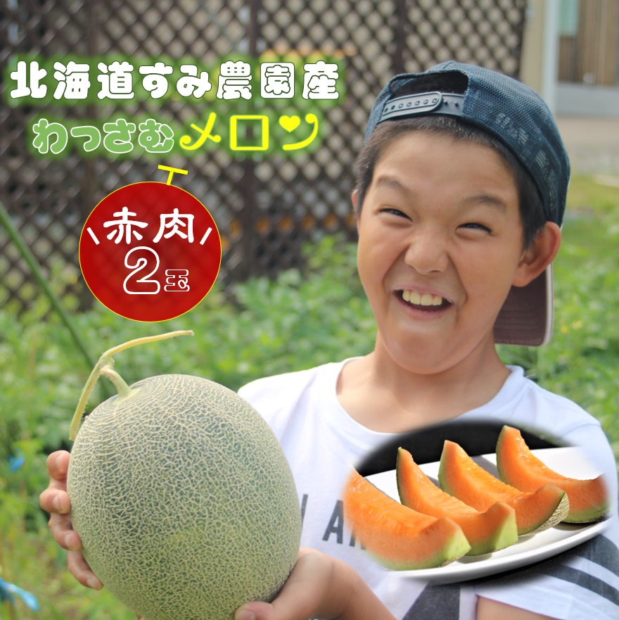 【ふるさと納税】≪令和７年産予約≫ <br>わっさむ産メロン(赤肉2玉) <br> ふるさと納税 メロン 北海道 【7～8月お届け】