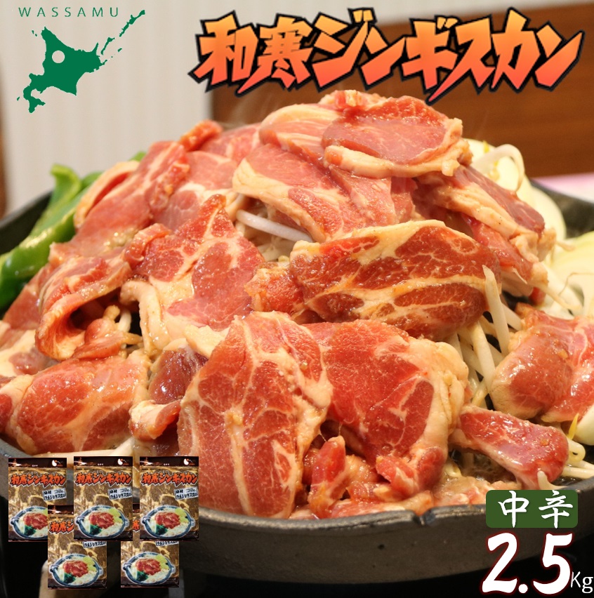 【ふるさと納税】 ふるさと納税 ジンギスカン 和寒ジンギスカン(中辛×5袋)