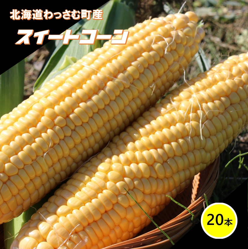 【ふるさと納税】≪令和7年産≫和寒産スイートコーン（20本セット）
