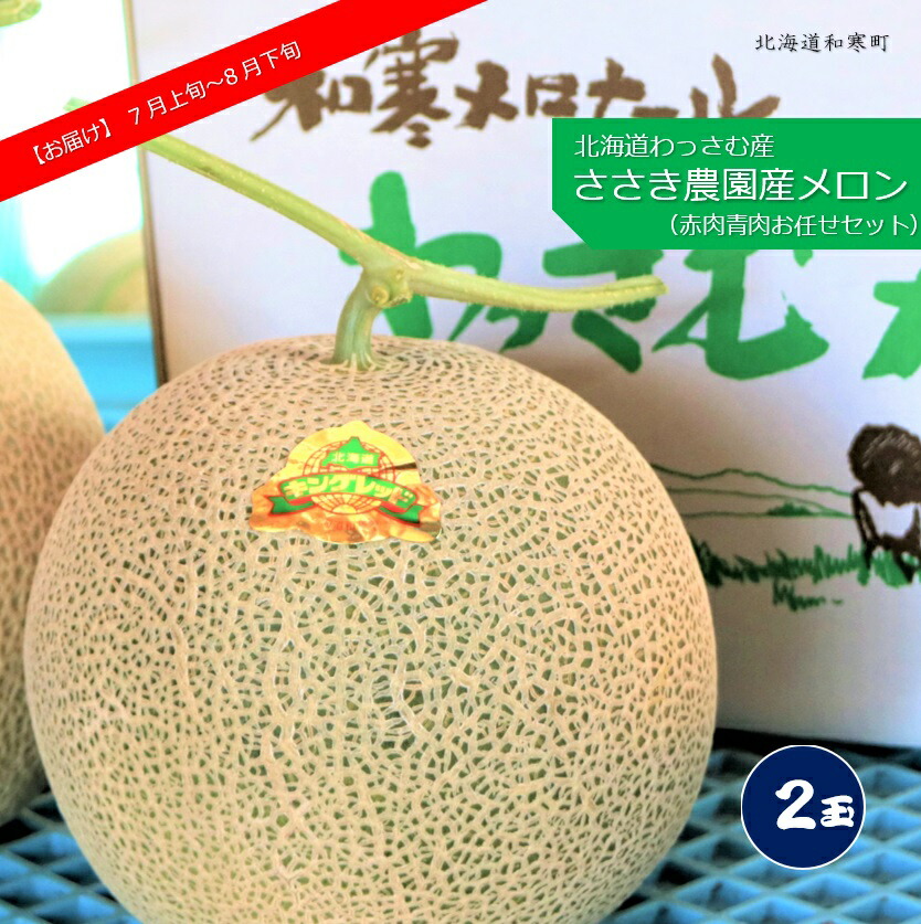 【ふるさと納税】≪令和７年産予約≫<br> ささき農園産メロン(お任せ2玉) <br>ふるさと納税 メロン 北海道 【7～8月お届け】