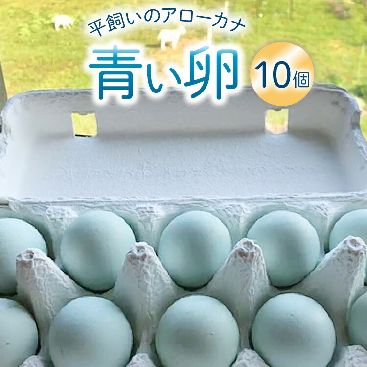 【ふるさと納税】 平飼いのアローカナ卵 10個 [ら ぷち ふぁみ～ゆ 北海道 剣淵町 14656182] アローカナ たまご タマゴ