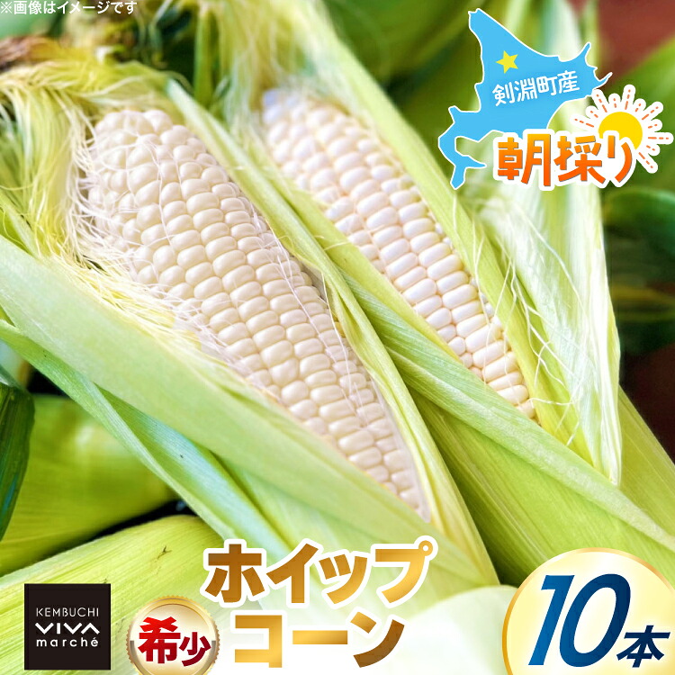 【ふるさと納税】 剣淵町産 ホイップコーン 10本 [けんぶちVIVAマルシェ 北海道 剣淵町 14656379] とうもろこし トウモロコシ ホイップコーン 夏 甘い ホワイト｜北海道剣淵町 7,920円