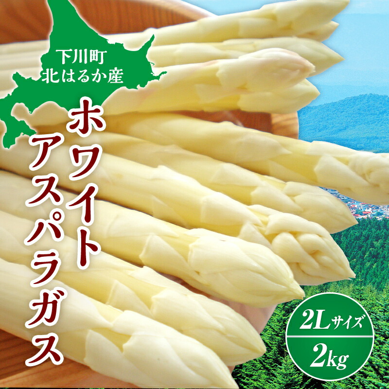 【ふるさと納税】【先行予約】 令和7年産 ホワイトアスパラガス（2Lサイズ）2kg アスパラ 野菜 やさい ふるさと 納税 国産 北海道産 北海道 下川町 F4G-0004
