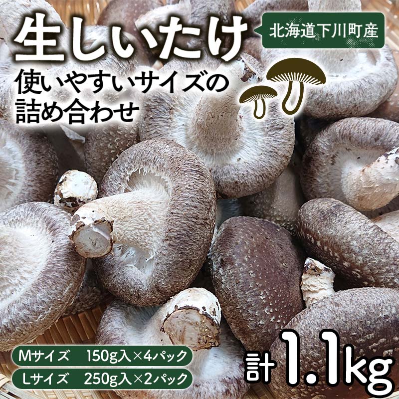 【ふるさと納税】生しいたけ【使いやすいサイズの詰め合わせ】800g Mサイズ(100g×4パック) Lサイズ(200g×2パック) 軸太 肉厚 椎茸 シイタケ 野菜 やさい 故郷 ふるさと 納税 国産 北海道産 北海道 下川町 F4G-0013