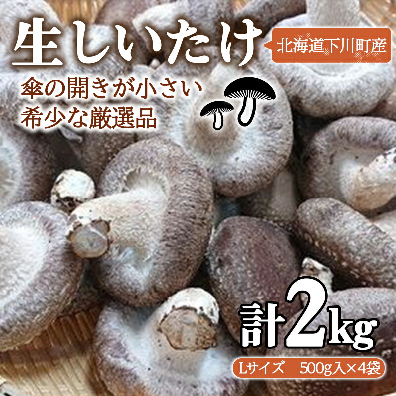 【ふるさと納税】簡易包装 生しいたけ【Lサイズ・傘の開きが小さい】2kg 軸太 肉厚 椎茸 シイタケ 野菜 やさい 故郷 ふるさと 納税 北海道 下川町 直径約6cm F4G-0024