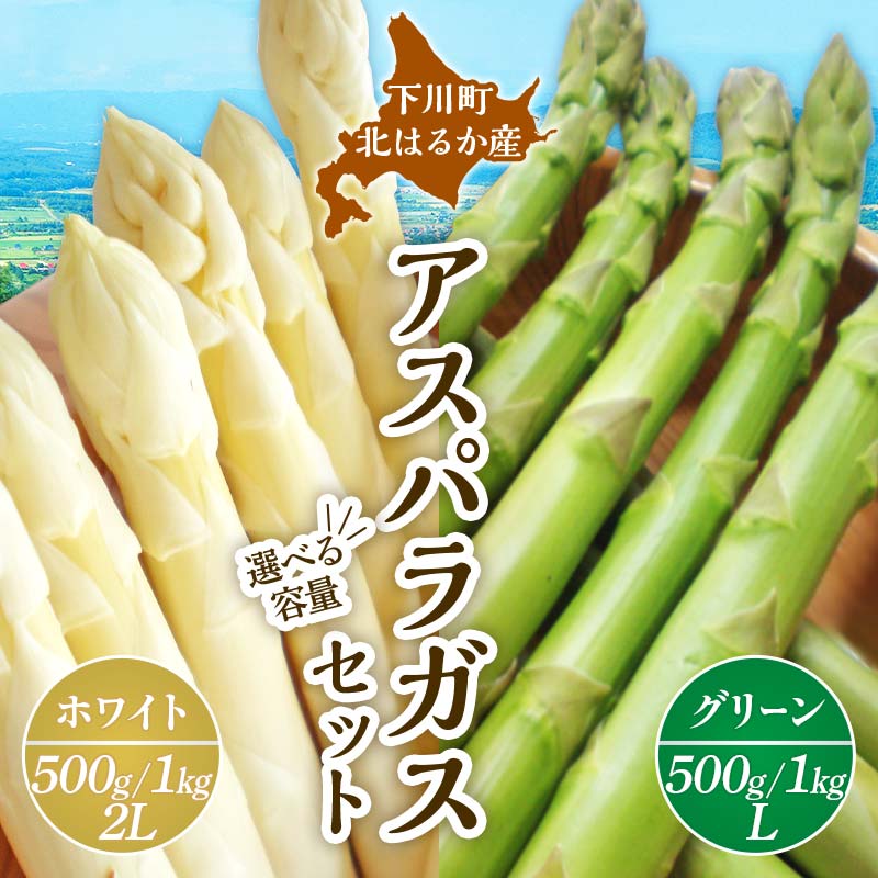 野菜・きのこ 【ふるさと納税】【先行予約】令和8年産 グリーン