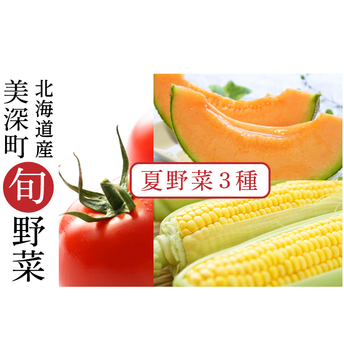 ふるさと納税 美深の旬の夏野菜3種 フルーツトマト メロン とうもろこし 北海道美深町産 22年7月出荷開始先行予約 定期便 果物類 フルーツ メロン赤肉 野菜 トマト 野菜 とうもろこし お届け 22年7月出荷開始 Fitzfishponds Com